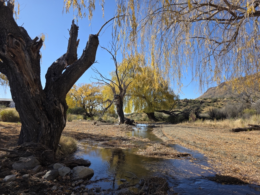 0 Bedroom Property for Sale in Middelburg Rural Eastern Cape